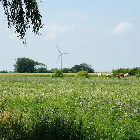 Hébergement de vacances Achtern Diek Emmelsbüll-Horsbüll